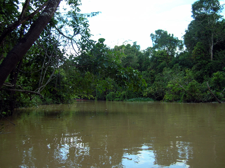 sabah053.jpg