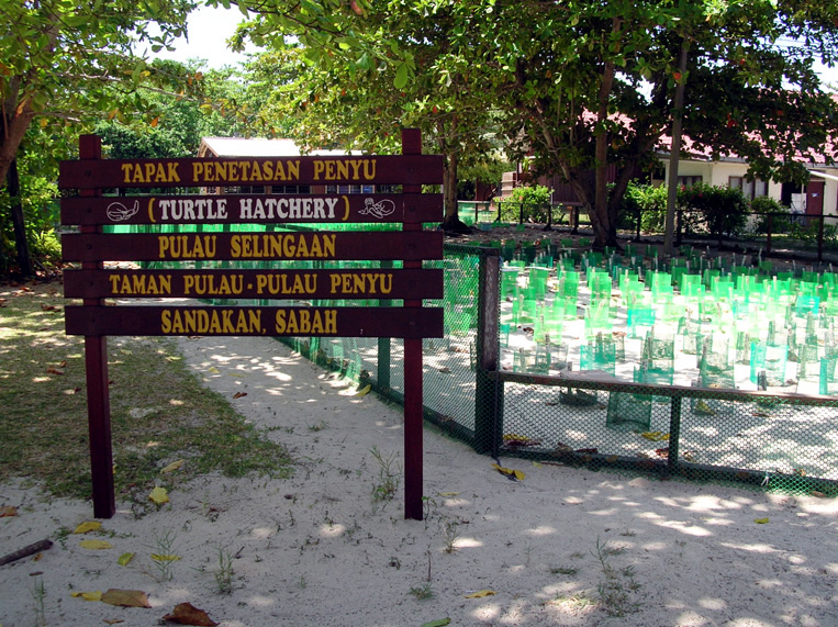 sabah062.jpg